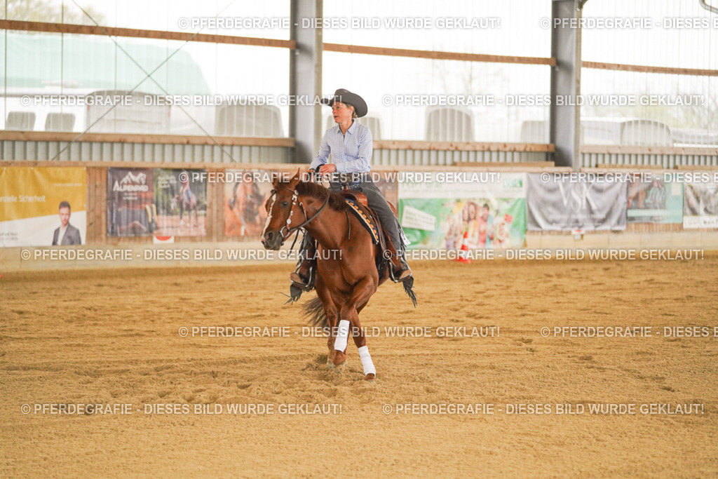 DSC09963 | Pferdegrafie