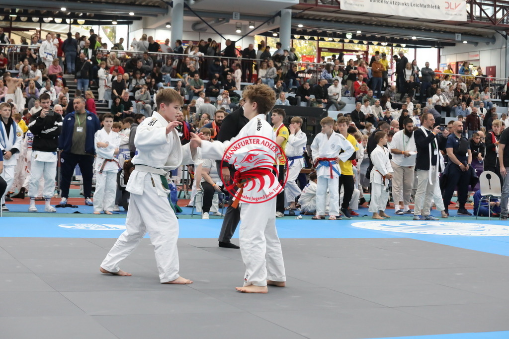 1J7A1940 | Fotos vom Adler Cup - Pictures from Adler Cup

Hier findet Ihr alle Eindrücke und großen Momente der Adler Cup Wochenenden. Here you will find all impressions and great moments of the Adler Cup weekends. - Realisiert mit Pictrs.com