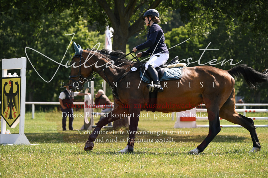 DSC_8976 | Pferde- und Turnierfotografie in Westsachsen. Pferdeportraits, Auftragszeichnungen und intuitive Kunst.