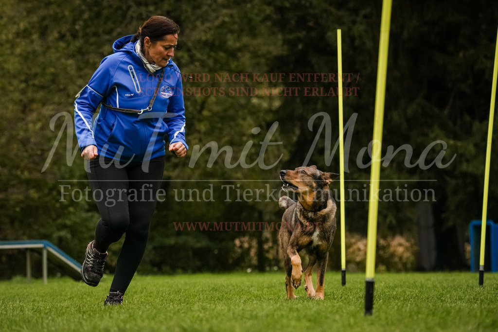 20251005_THS_Turnier-510 | MuT (Mensch und Tier) mit Mona - Fotografie und Tierkommunikation - Realisiert mit Pictrs.com