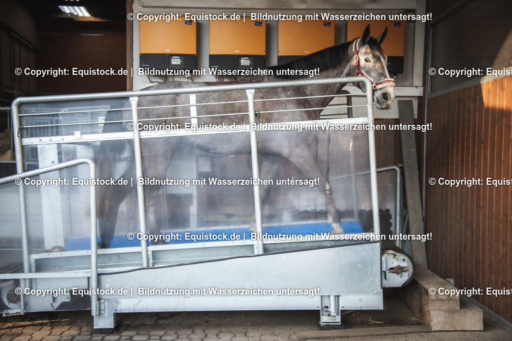 20200118_Laufband_0023 | Foto: Thomas Hartig