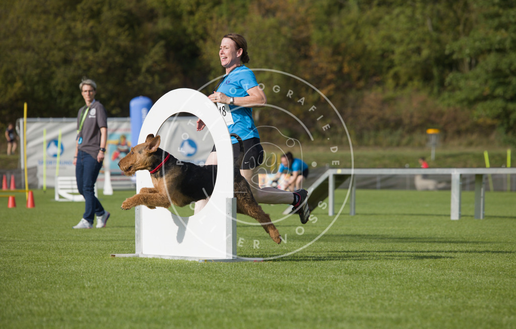 0L8A3880 | Hundefotografie, Tierfotograf, Pfotenfotografie, Fotoshooting Hund, Hunde Portrait, Hundesport, Hundeportraits, Heideshooting, Hunde, Sportfotograf, Hundefotograf, Turnierhundsport, THS,  - Realisiert mit Pictrs.com