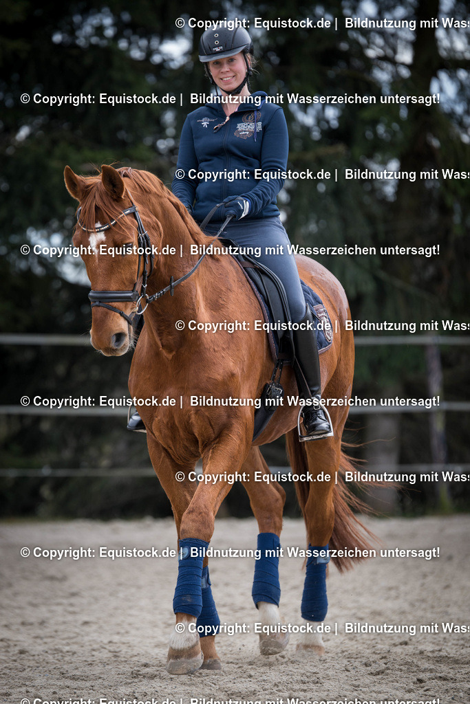 20160328_Fuchs_im_Training_0002 1 | equistock