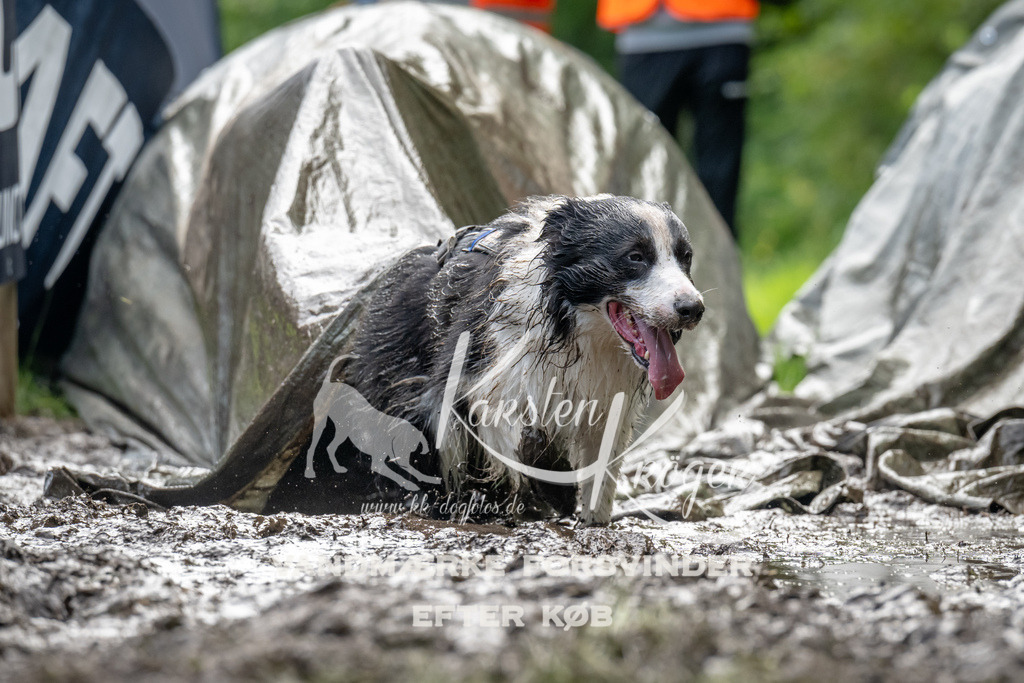 1100_ZZ93276 | kk-dogfotos