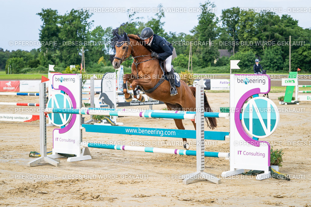 DSC03506 | Pferdegrafie