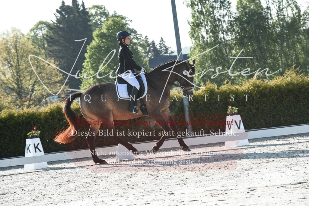 20230518_JK-Röhrsdorf-09-0061 | Pferde- und Turnierfotografie in Westsachsen. Pferdeportraits, Auftragszeichnungen und intuitive Kunst.