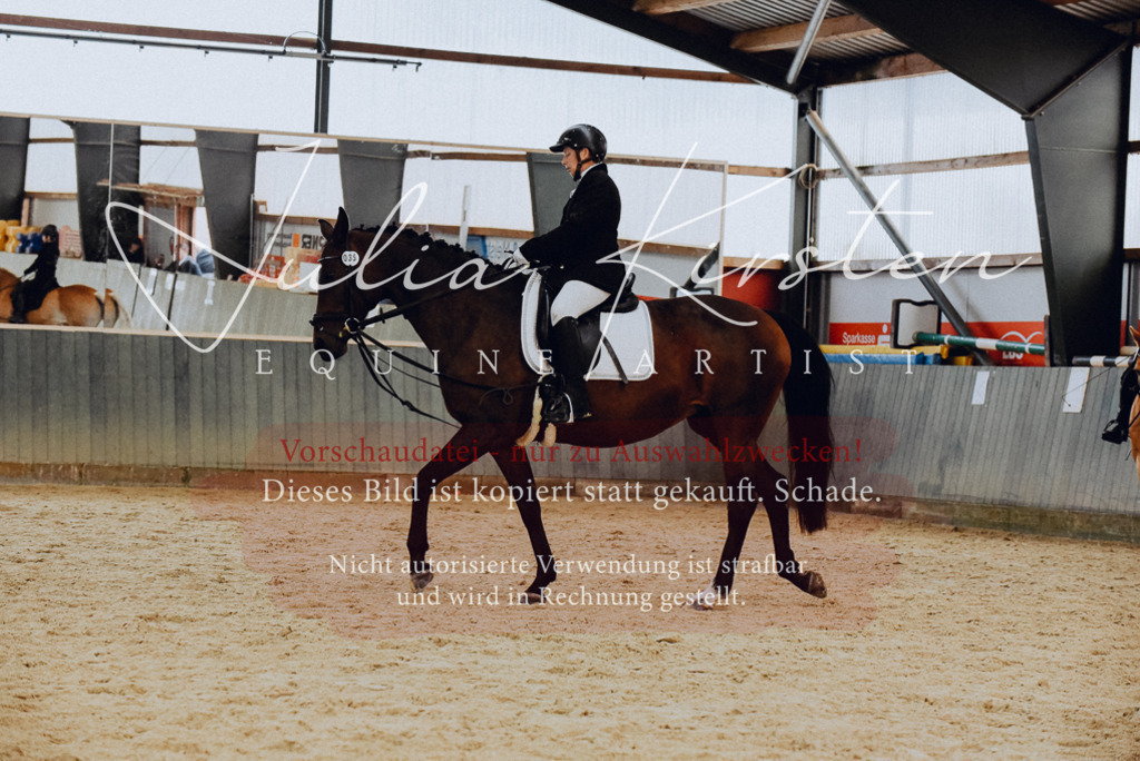 DSC_7328 | Pferde- und Turnierfotografie in Westsachsen. Pferdeportraits, Auftragszeichnungen und intuitive Kunst.