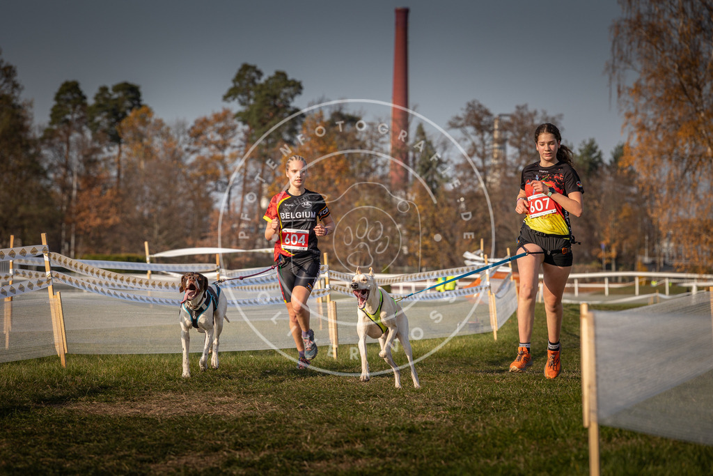 CaniXpix_0L8A0093 | Hundefotografie, Tierfotograf, Pfotenfotografie, Fotoshooting Hund, Hunde Portrait, Hundesport, Hundeportraits, Heideshooting, Hunde, Sportfotograf, Hundefotograf, Turnierhundsport, THS,  - Realisiert mit Pictrs.com