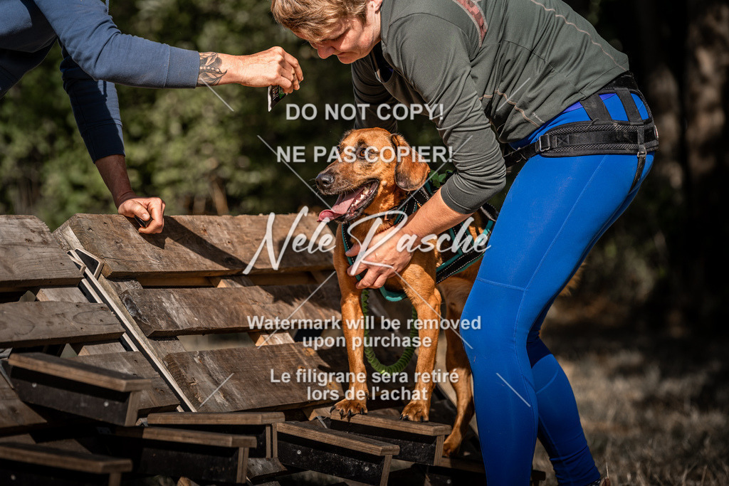 nelerasche_slaw24So_187 | nelerasche