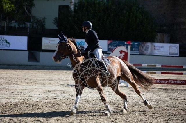 2B4A0203 | pixelfaenger - Realisiert mit Pictrs.com