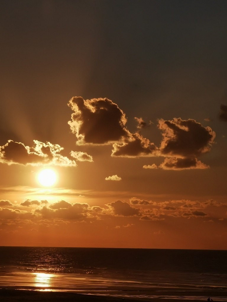 IMG_20240928_191139 | Pandiboo - Realisiert mit Pictrs.com