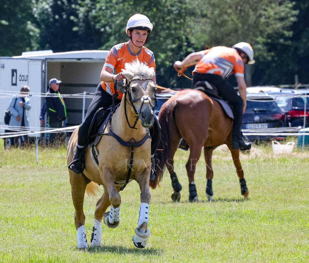 IMG_1597 | Reitsport Reiten