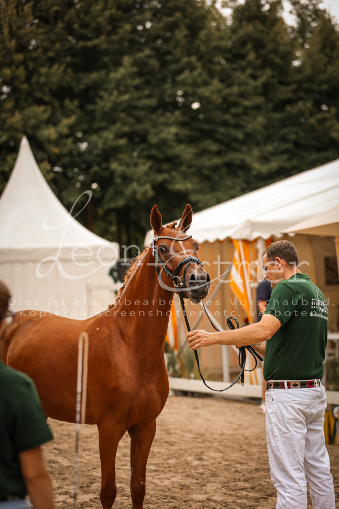 10.So00118 | Leoni Ertmer Photography - Realisiert mit Pictrs.com