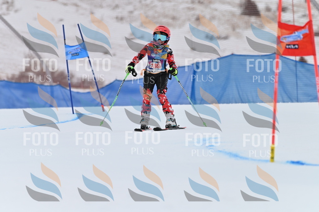 BGV_1368 | holidayphoto