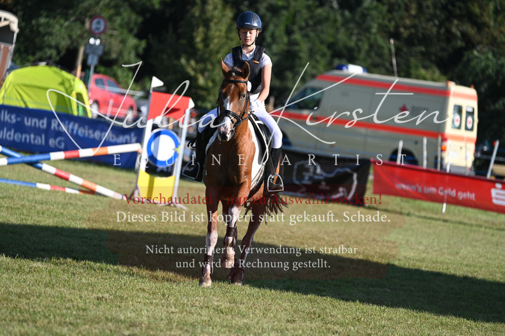DSC_4890 | Pferde- und Turnierfotografie in Westsachsen. Pferdeportraits, Auftragszeichnungen und intuitive Kunst.
