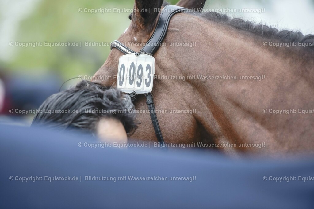 20230514_Impressionen_0181 | equistock