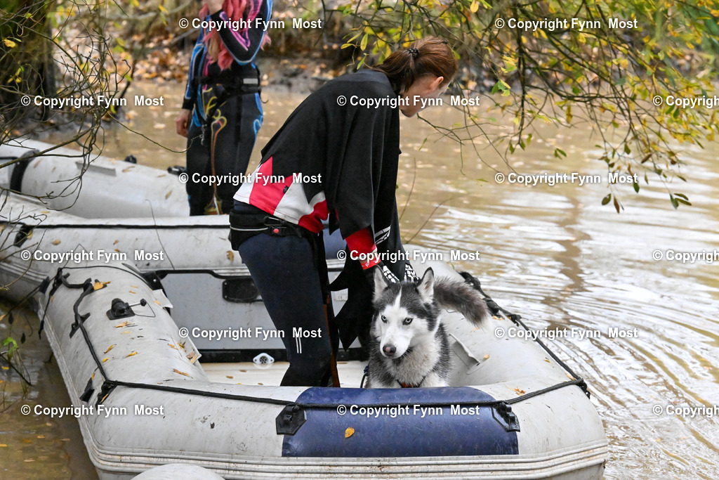 DSC_6667 | Hallo und herzlich Willkommen auf meiner Shop-Seite Fynn Most.

Ich wünsche Dir viel Spaß beim stöbern durch die Bilder, wenn Du Fragen hast oder Bilder vermisst, kannst du mir gerne eine Nachricht schreiben. - Realisiert mit Pictrs.com