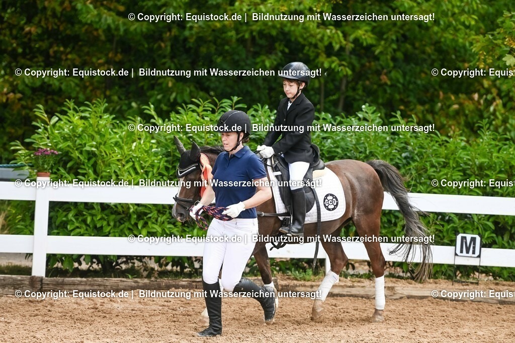20230716_11_Führzügel-WB_0122 | equistock