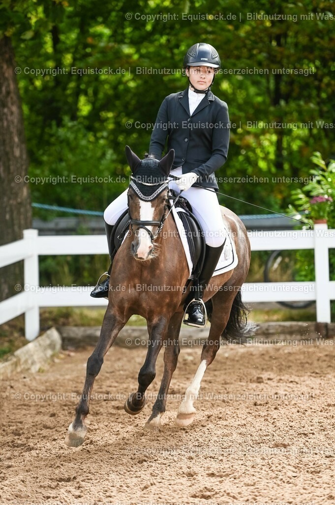 20230716_10-1_Reiter-WB Schritt - Trab - Galopp_0184 | equistock