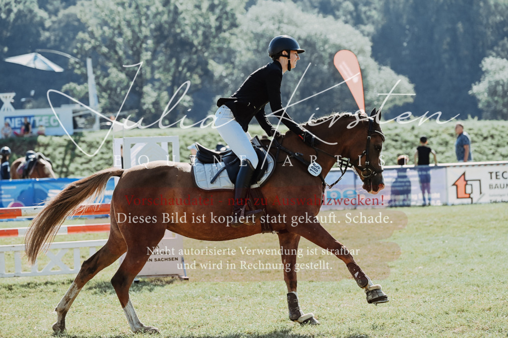 DSC_5413 | Pferde- und Turnierfotografie in Westsachsen. Pferdeportraits, Auftragszeichnungen und intuitive Kunst.