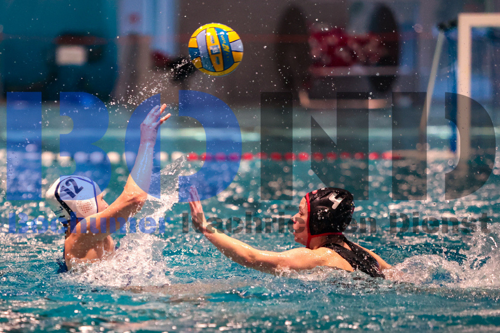 SES_BOCSPA20250209-52 | bond - Realisiert mit Pictrs.com