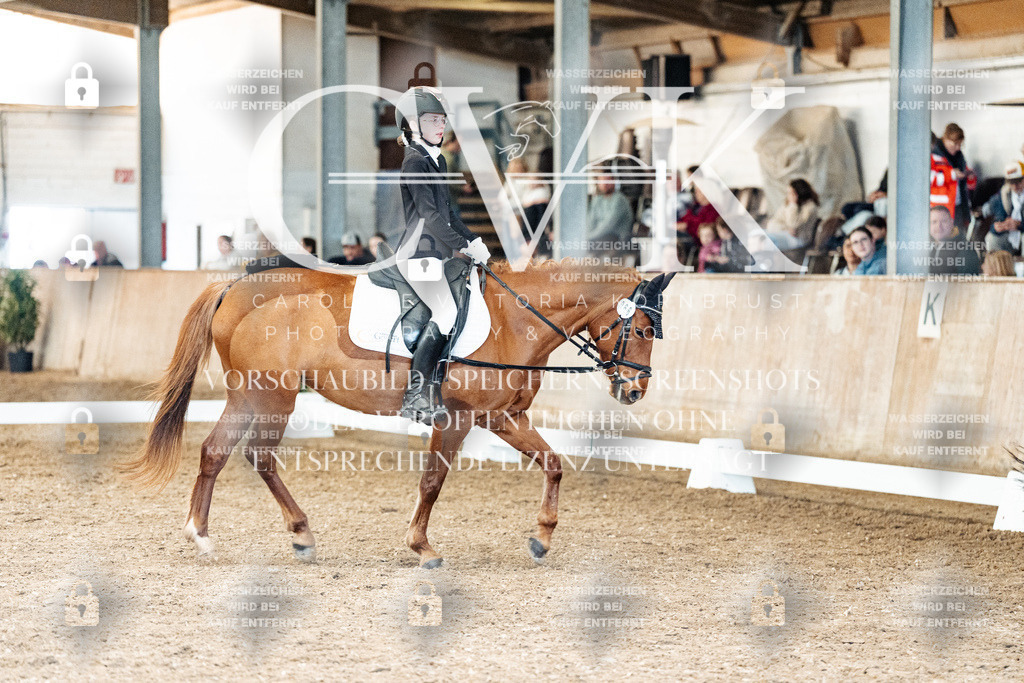 CK900326 | Turnierfotografie Pferdefotografie Trier Rheinland-Pfalz Pferdesport Reitsport Tierfotografie Sportfotografie Pferdevideo Pferdevideografie Equestrianvideography equestrianphotography  - Realized with Pictrs.com