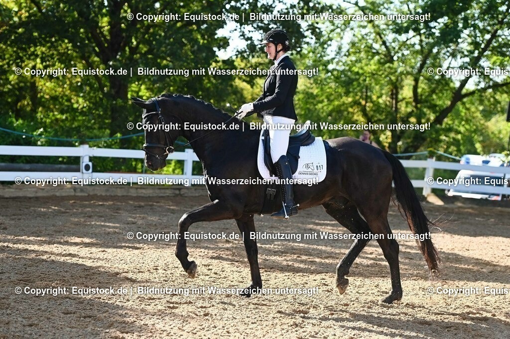 20230715_06_Dressurpferdeprfg. Kl.A_0007 | equistock