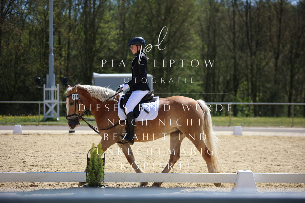 IMGT1032 | pl-fotografie