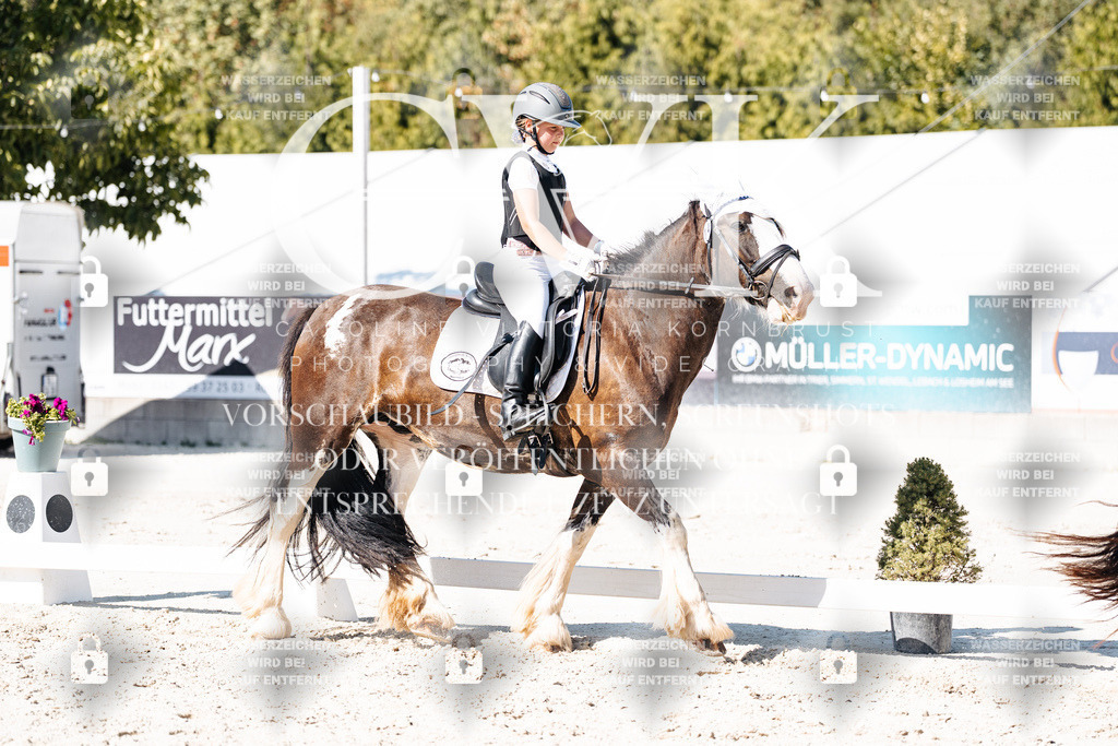 CK902948 | Turnierfotografie Pferdefotografie Trier Rheinland-Pfalz Pferdesport Reitsport Tierfotografie Sportfotografie Pferdevideo Pferdevideografie Equestrianvideography equestrianphotography  - Realisiert mit Pictrs.com