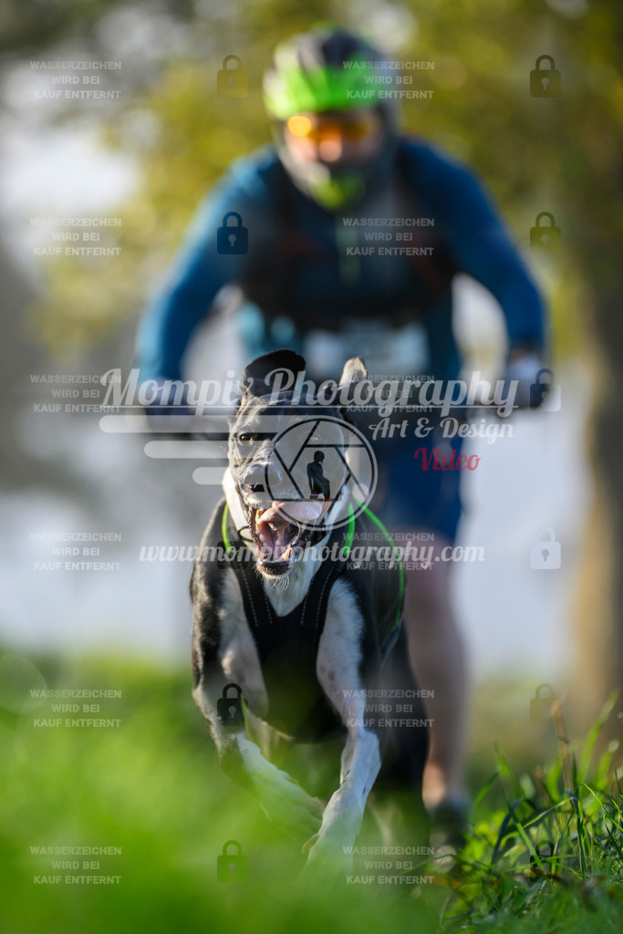 MompixPhotography_20TSB_E3_Bike-156 | PayLife