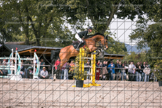 _W6A0110 | ronjaprokoschfotografie - Realisiert mit Pictrs.com