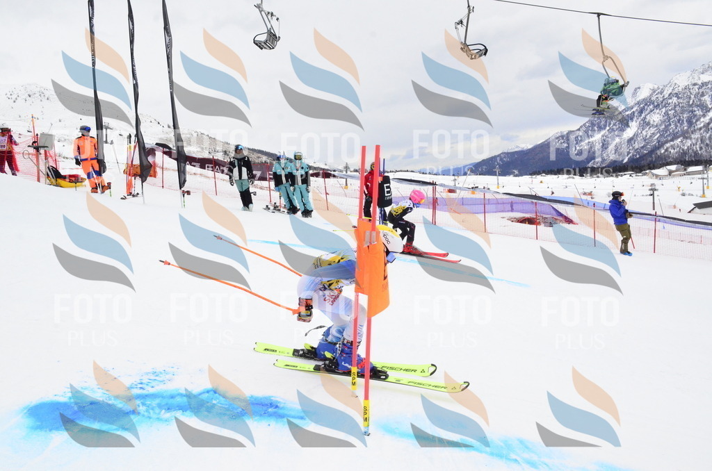 _ELE4096 | holidayphoto