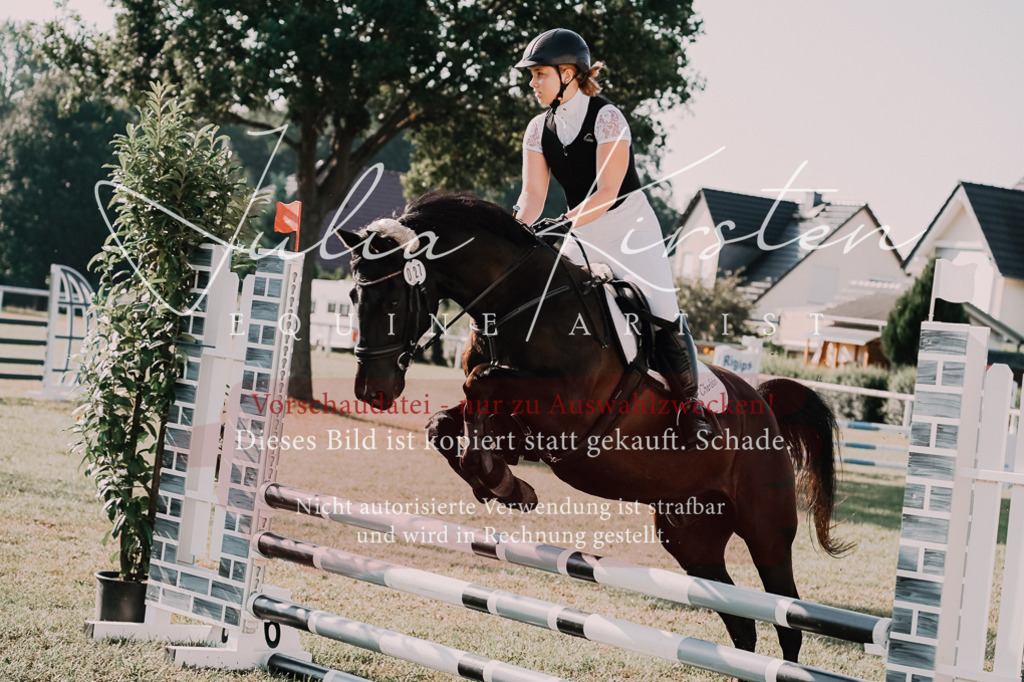 DSC_4520 | Pferde- und Turnierfotografie in Westsachsen. Pferdeportraits, Auftragszeichnungen und intuitive Kunst.