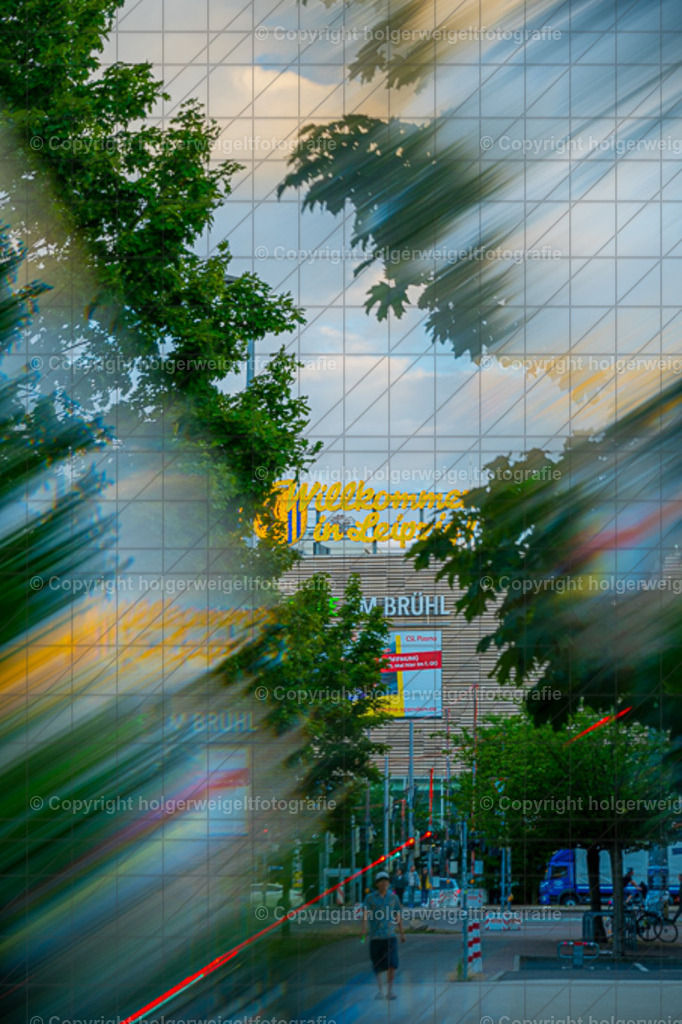 20260703204555Z63_5395 | Kaufen sie online außergewöhnliche Fotografien auf Leinwand Acrylglas Fotoprint Aludibond von holgerweigeltfotografie - Realisiert mit Pictrs.com