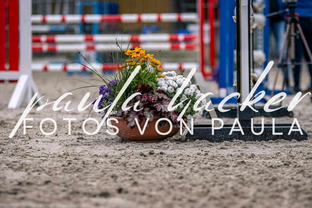 IMG_6216 | Erleben Sie dynamische Sport- und emotionale Tierfotografie in Süddeutschland mit Fotos von Paula. Spezialisiert auf Pferde- und Hundefotografie sowie Sportevents. Kontaktieren Sie mich für einzigartige und ausdrucksstarke Bilder Ihrer besonderen Momente.