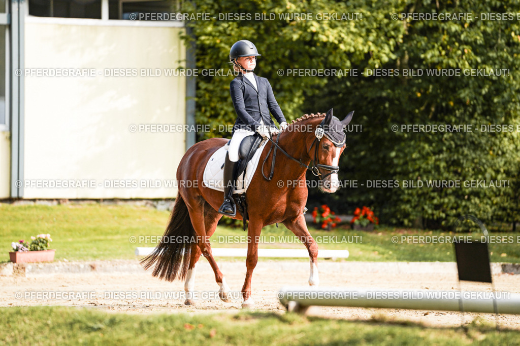 DSC05849 | Pferdegrafie