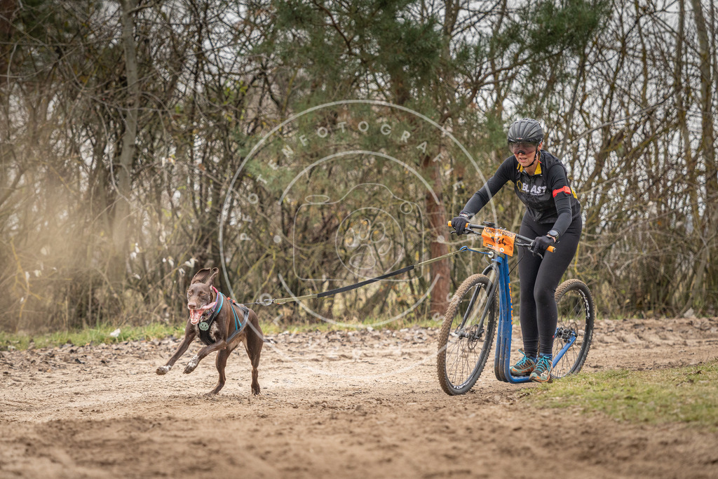 Pfotenfotografie_DV3A0121 | Hundefotografie, Tierfotograf, Pfotenfotografie, Fotoshooting Hund, Hunde Portrait, Hundesport, Hundeportraits, Heideshooting, Hunde, Sportfotograf, Hundefotograf, Turnierhundsport, THS,  - Realisiert mit Pictrs.com