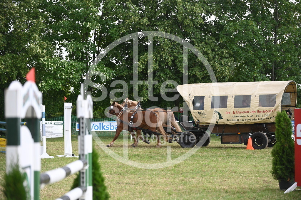 DSC_8712 | sattelsport - Realisiert mit Pictrs.com