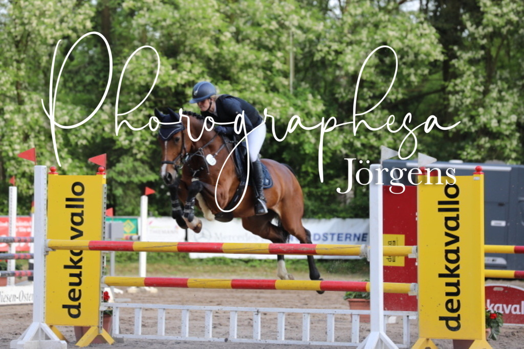 IMG_9122 | photographesa-joergens - Realisiert mit Pictrs.com