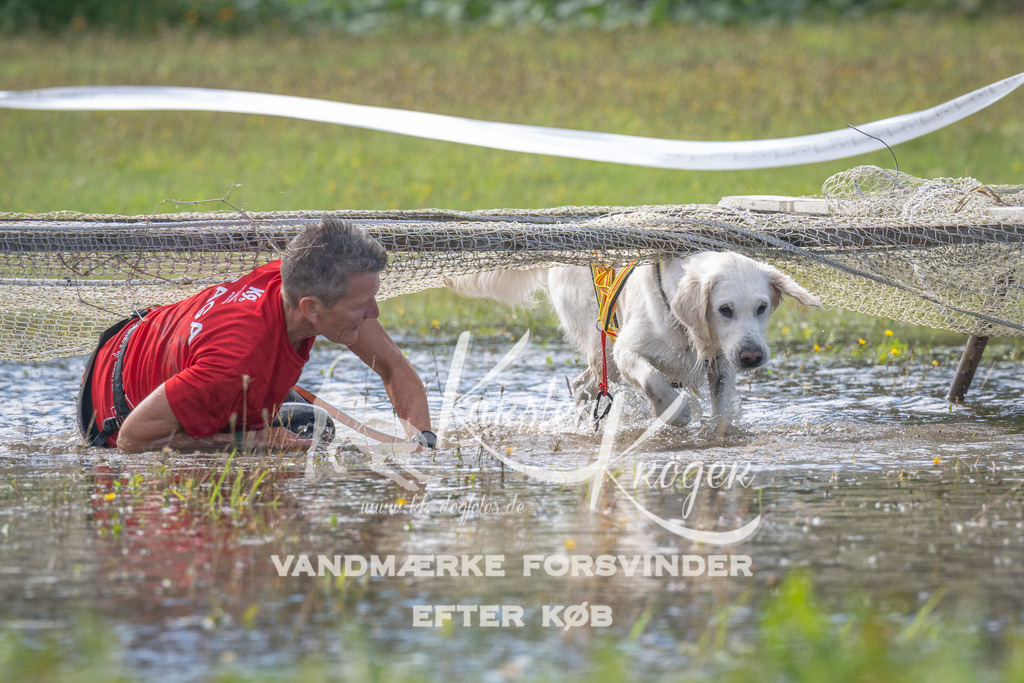 1156_ZZ90598 | kk-dogfotos