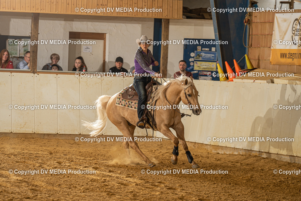 MIT01353 | dv-media-shop - Realisiert mit Pictrs.com