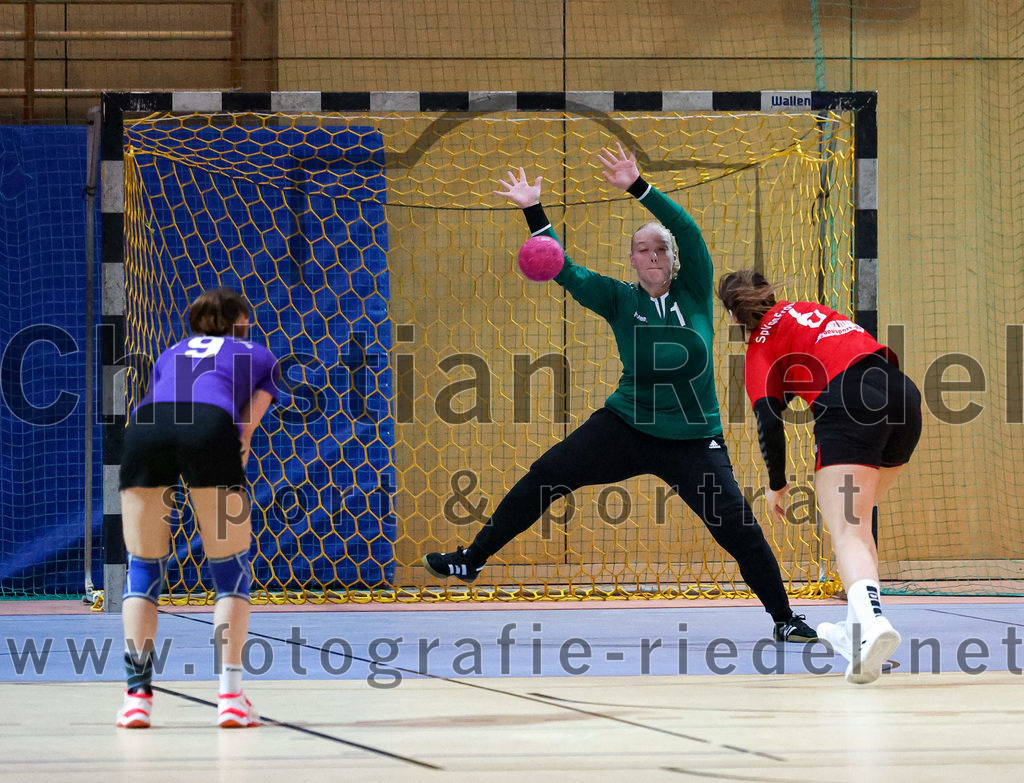 2022-11-05_044_SpVgg_Altenerding_gegen_SpVgg_Erdweg | Erding, Deutschland, 05.11.2022:
Handball, Bezirksoberliga Frauen Altbayern 2022 / 2023, 3. Spieltag, SpVgg Altenerding gegen SpVgg Erdweg, Endergebnis: 27:16

Julia Kranich (SpVgg Altenerding, #9), Torfrau Hanna Obermair (SpVgg Altenerding, #1), Anna Wallner (SpVgg Erdweg, #6)

Foto: Christian Riedel / fotografie-riedel.net