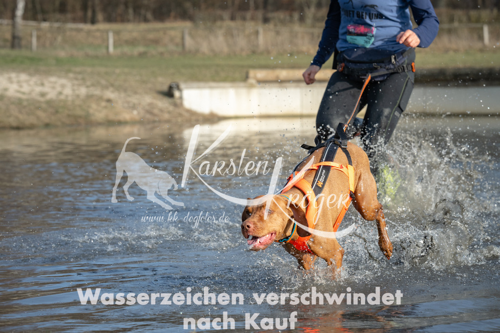 1531_ZZ91935 | kk-dogfotos