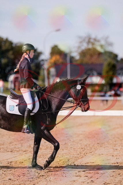 2026_10_03_Siefer-Hof_115434_Z81_93811523 | Professionelle Reitsport-, Turnier- und Eventfotografie von Robert Broda. Galerien mit ausgewählten und bearbeiteten Bildern direkt online ansehen und bestellen.