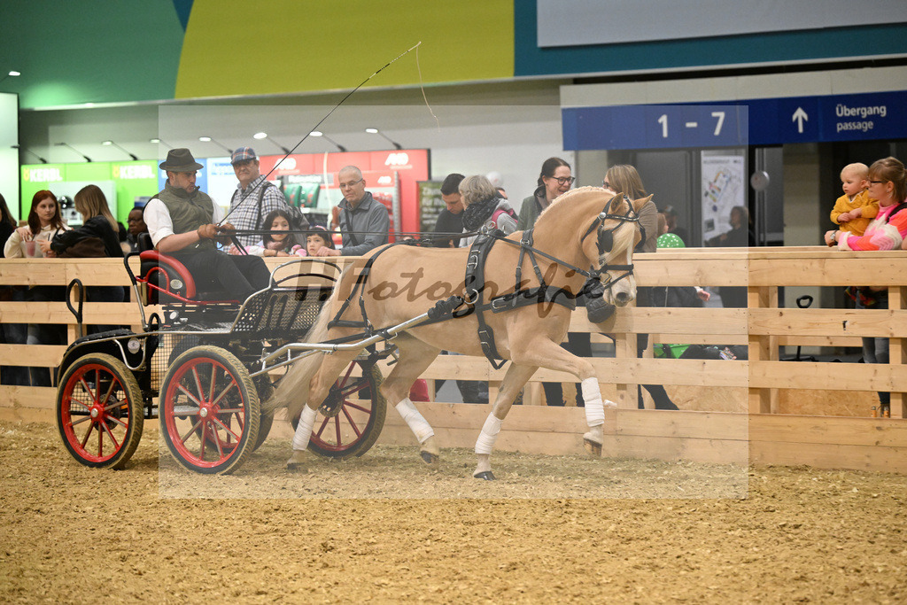 Schauprogramm_DSP Daria_1261130 | hf-fotografie - Realisiert mit Pictrs.com