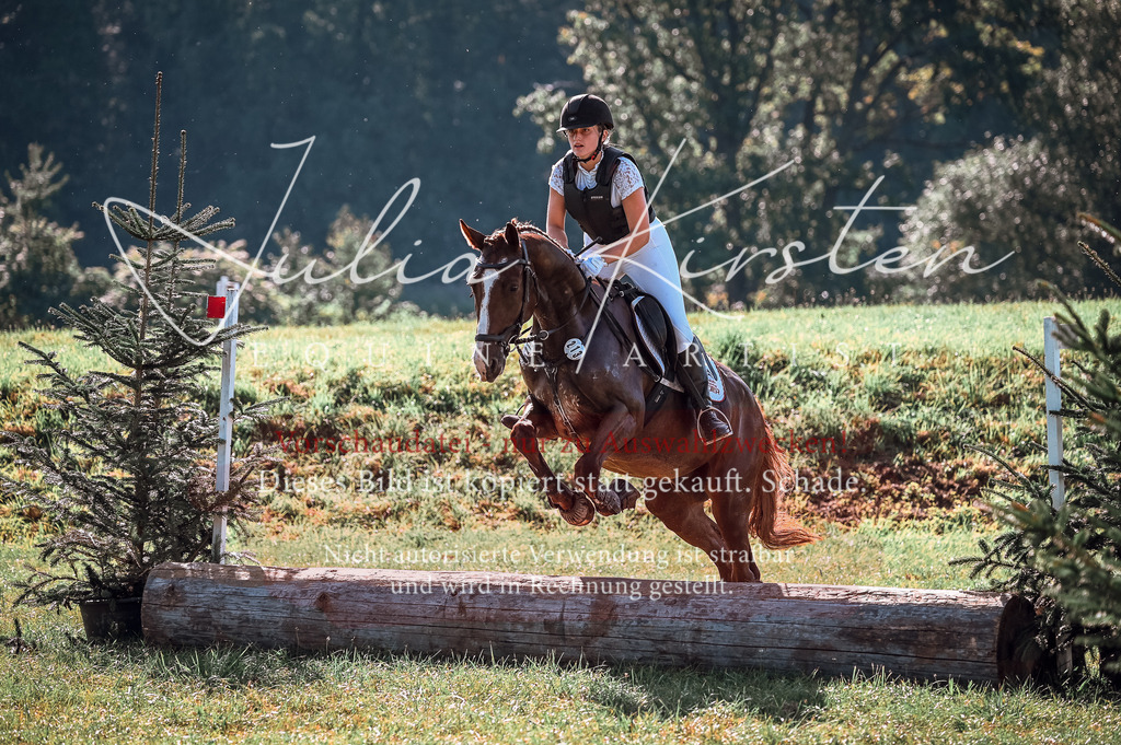 DSC_0750 | Pferde- und Turnierfotografie in Westsachsen. Pferdeportraits, Auftragszeichnungen und intuitive Kunst.