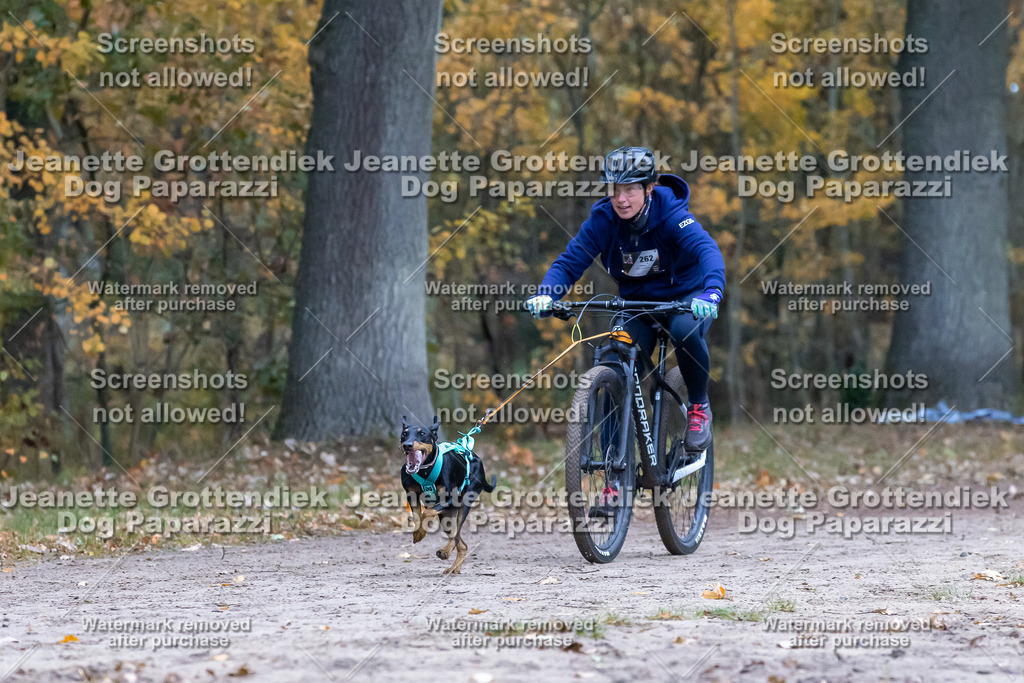 Dog Paparazzi - SD CaniX Championship 2025-278 | Dog Paparazzi Jeanette Grottendiek Fotografie & Videografie - Realisiert mit Pictrs.com