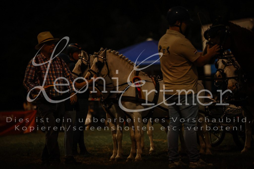 SaShow00319 | Leoni Ertmer Photography - Realisiert mit Pictrs.com