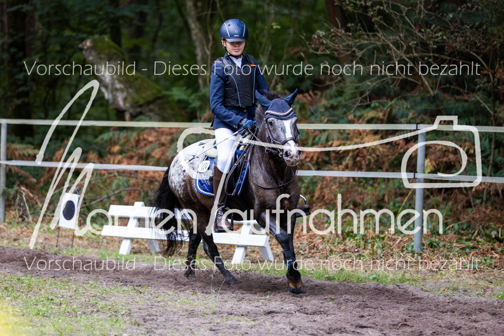 HB-Caprilli-029 | MomenTaufnahmen Pferdesportfotos