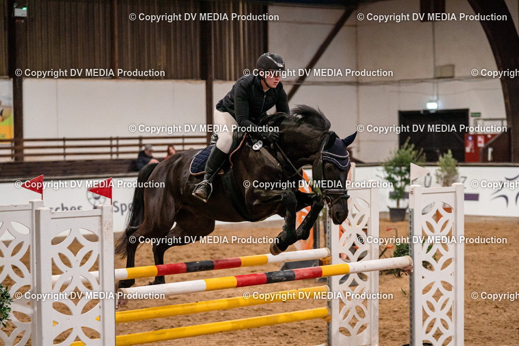 Kranichstein Tag 2-1251 | dv-media-shop - Realisiert mit Pictrs.com